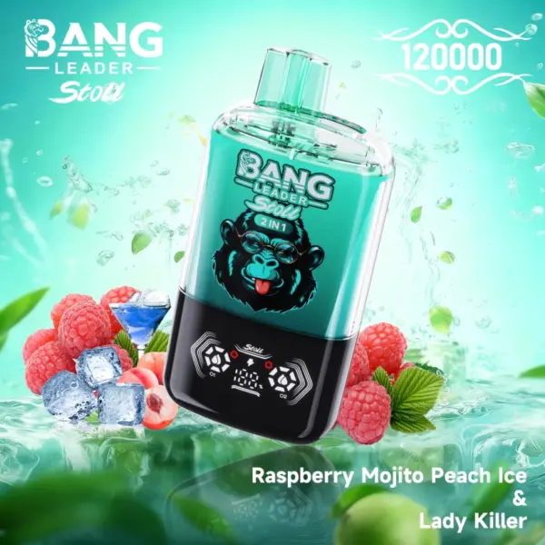 Bang Leader Stoll 120k Puffs Wegwerp Vape 2 in 1 Dubbele Smaken Gratis Verzending