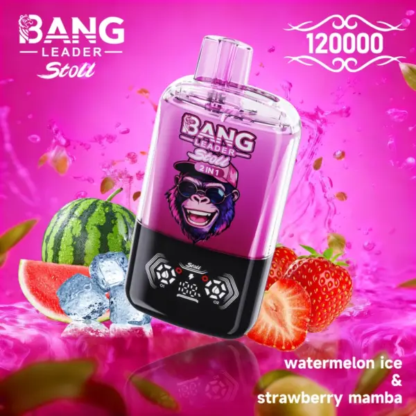 Bang Leader Stoll 120k Puffs Wegwerp Vape 2 in 1 Dubbele Smaken Gratis Verzending