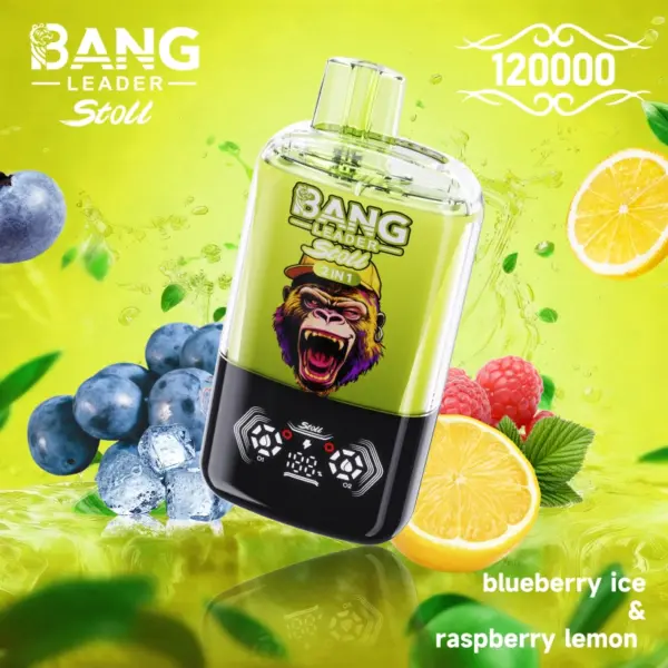 Bang Leader Stoll 120k Puffs Wegwerp Vape 2 in 1 Dubbele Smaken Gratis Verzending