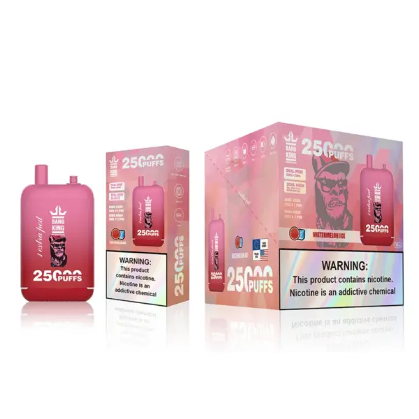 EU Vape Bang King 25000 Puffs Goedkope Wegwerp E Sigaret Gratis Verzending