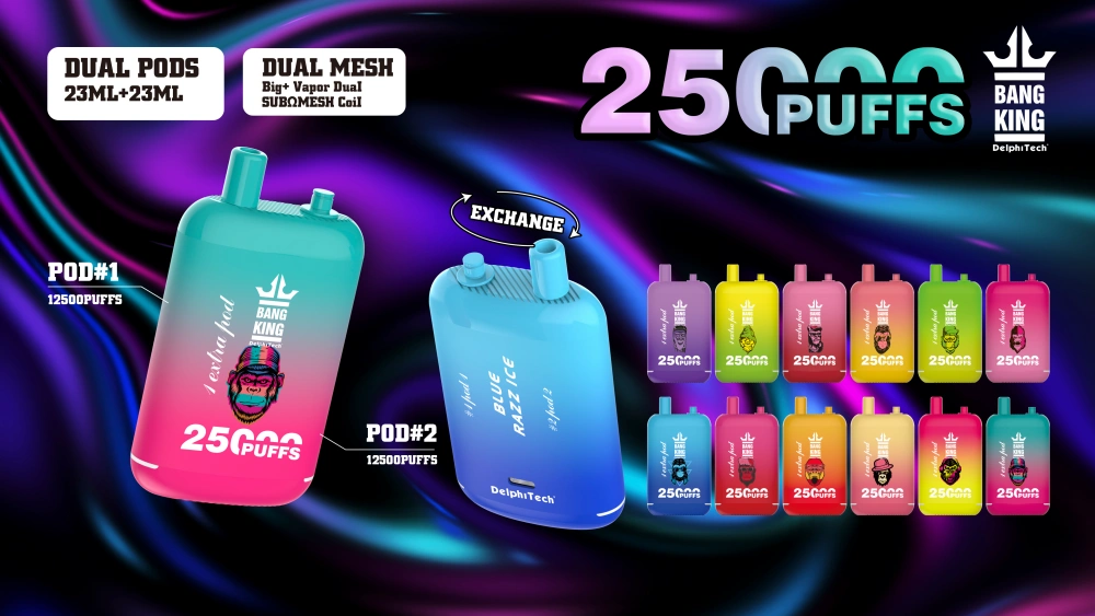 EU Vape Bang King 25000 Puffs Goedkope Wegwerp E Sigaret Gratis Verzending