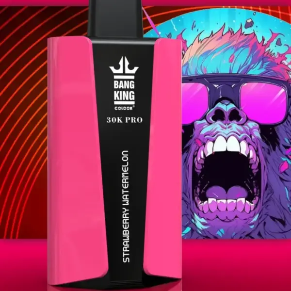 EU Vape Bang King 30k Puffs Pro 30000 Wegwerp E-sigaret met Snelle Levering en Gratis Verzending