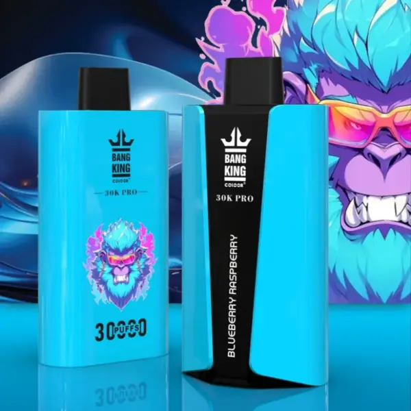 EU Vape Bang King 30k Puffs Pro 30000 Wegwerp E-sigaret met Snelle Levering en Gratis Verzending