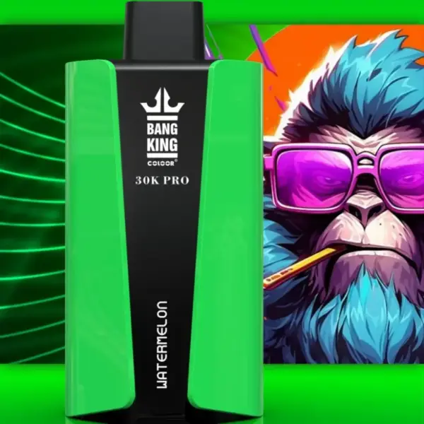EU Vape Bang King 30k Puffs Pro 30000 Wegwerp E-sigaret met Snelle Levering en Gratis Verzending
