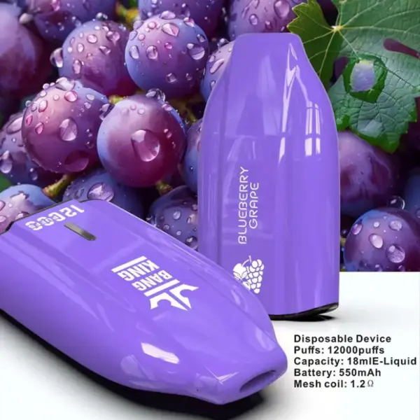 EU Magazijn Bang King 12000 Trekjes Goedkope Wegwerp Vape Groothandel 3 tot 7 Werkdagen Gratis Verzending