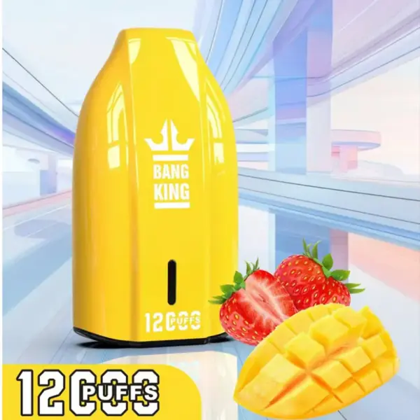 EU Magazijn Bang King 12000 Trekjes Goedkope Wegwerp Vape Groothandel 3 tot 7 Werkdagen Gratis Verzending