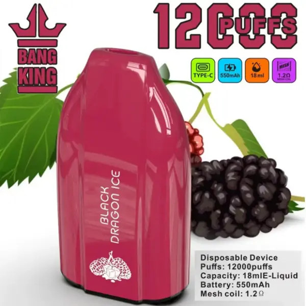 EU Magazijn Bang King 12000 Trekjes Goedkope Wegwerp Vape Groothandel 3 tot 7 Werkdagen Gratis Verzending