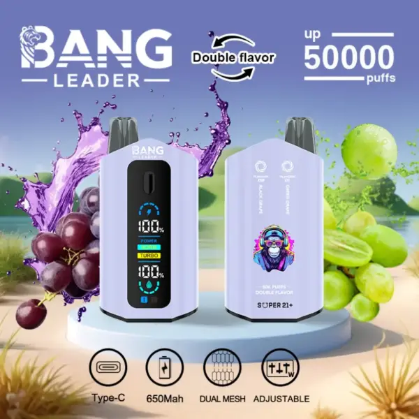 Bang Leader 50k Trekjes 2 In 1 Dubbele Smaken Beste Wegwerp Vape 50000 Gratis Verzending