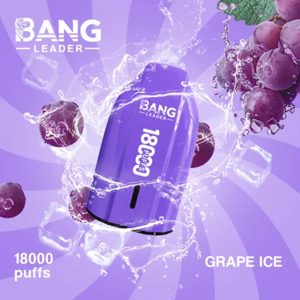 Bang Leader 18000 trekjes wegwerp vape 18k goedkope prijs groothandel gratis verzending