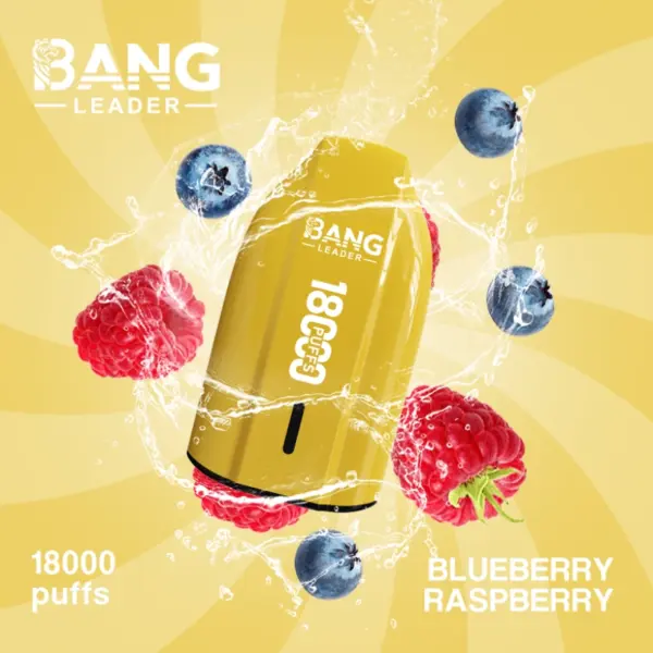 Bang Leader 18000 trekjes wegwerp vape 18k goedkope prijs groothandel gratis verzending