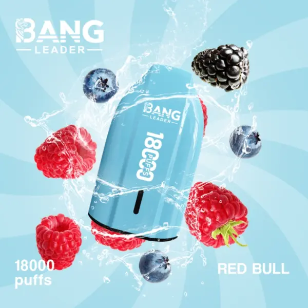 Bang Leader 18000 trekjes wegwerp vape 18k goedkope prijs groothandel gratis verzending