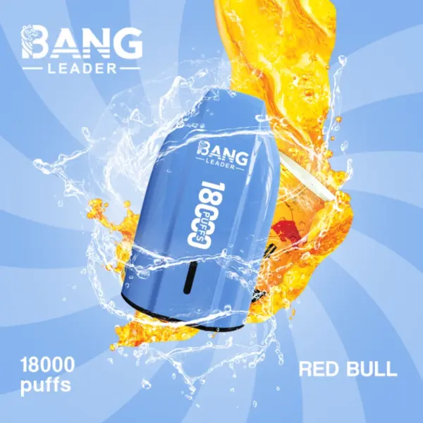 Bang Leader 18000 trekjes wegwerp vape 18k goedkope prijs groothandel gratis verzending