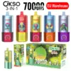 EU Vape OKSO 70000 Puffs 70k 3 in 1 Wegwerp Vape Groothandel Gratis Verzending