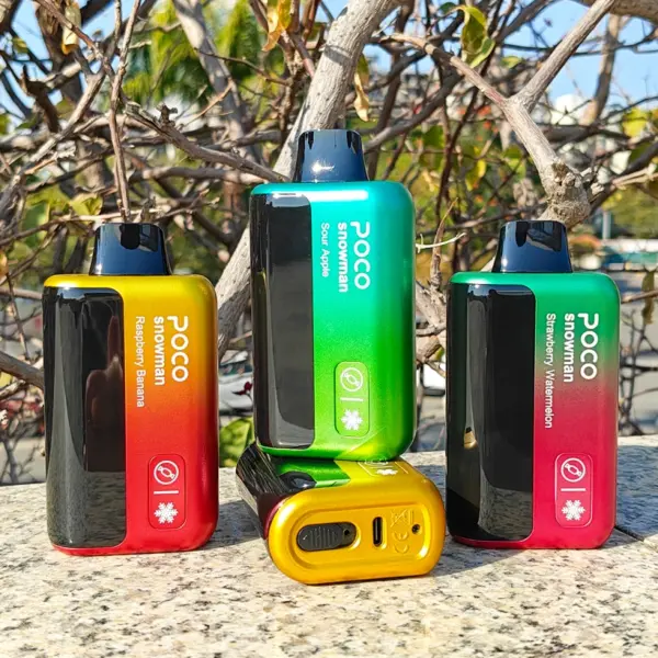 POCO 70000 Puffs 70k Snowman Ice Control Wegwerp Vape Gratis Verzending EU Magazijn
