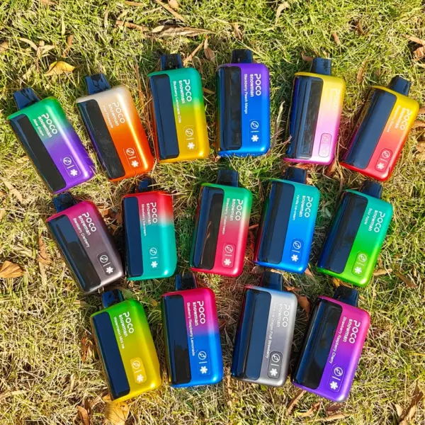 POCO 70000 Puffs 70k Snowman Ice Control Wegwerp Vape Gratis Verzending EU Magazijn