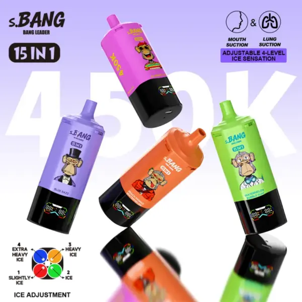 Bang Leader 450K Puffs 15 In 1 Wegwerp E Sigaret Meerdere Smaken Gratis Verzending