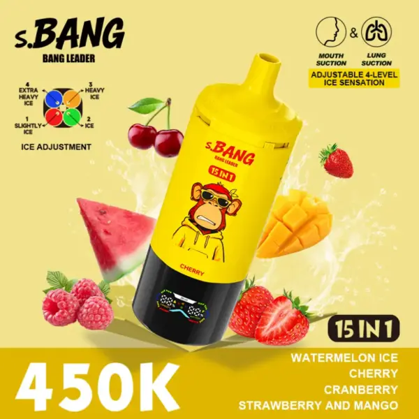 Bang Leader 450K Puffs 15 In 1 Wegwerp E Sigaret Meerdere Smaken Gratis Verzending