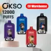 OKSO Digital 12000 Puffs 12k Wegwerp Vape EU Magazijn